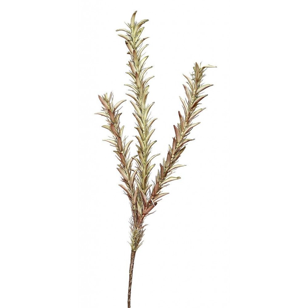 Espiel ΛΟΥΛΟΥΔΙ ΠΡΑΣΙΝΟ