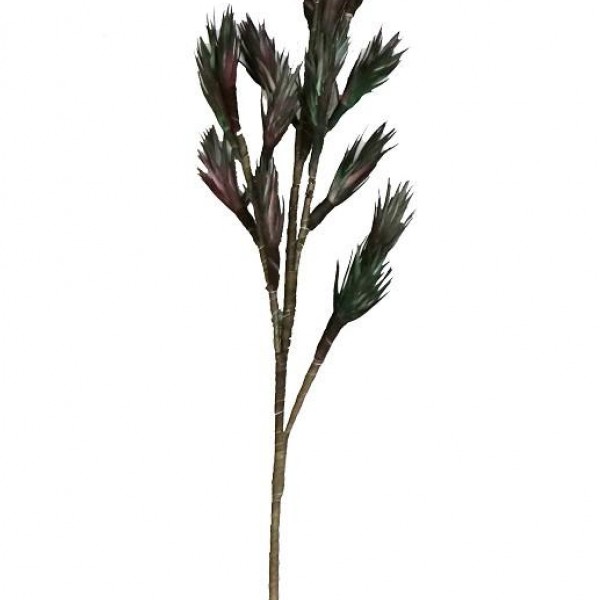 Espiel ΛΟΥΛΟΥΔΙ ΠΡΑΣΙΝΟ