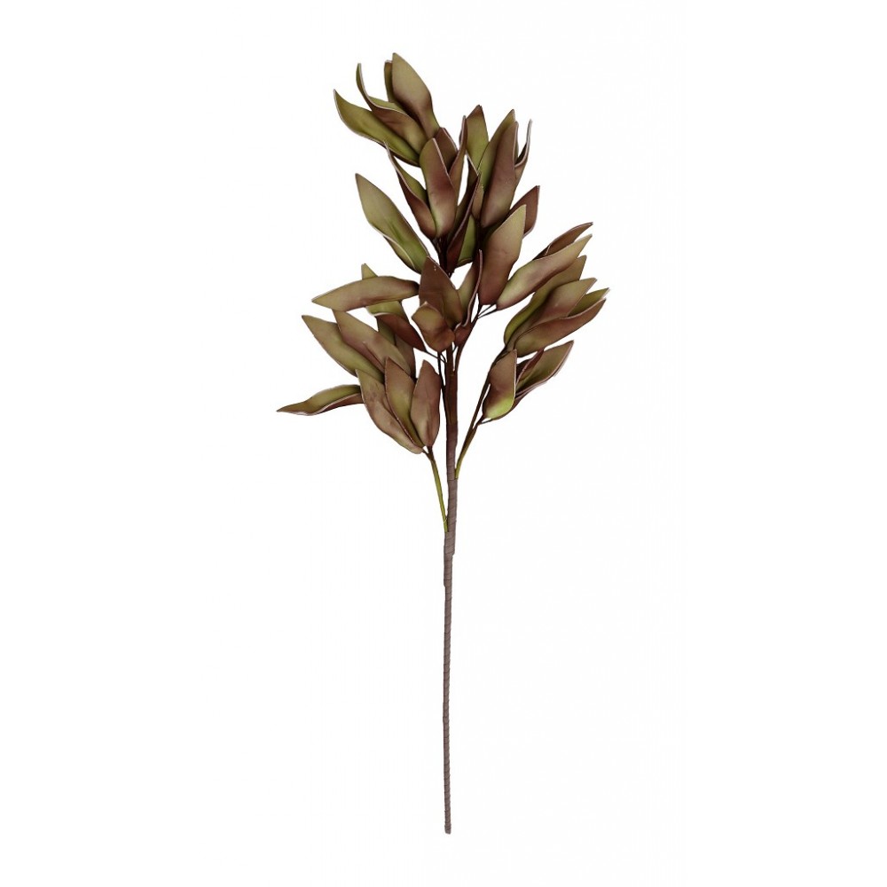 Espiel ΛΟΥΛΟΥΔΙ ΠΡΑΣΙΝΟ