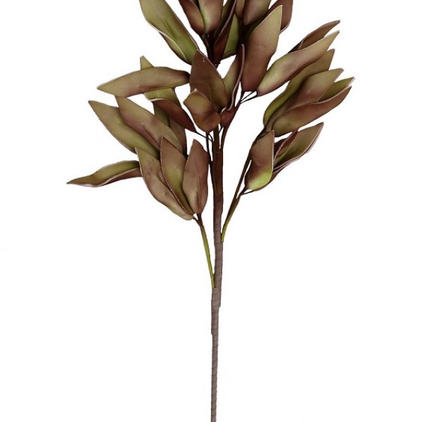 Espiel ΛΟΥΛΟΥΔΙ ΠΡΑΣΙΝΟ