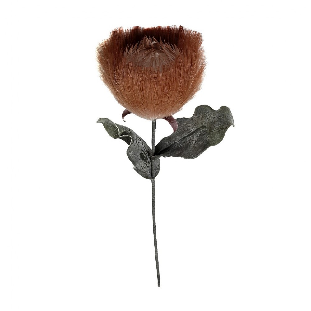 Espiel ΛΟΥΛΟΥΔΙ PAMPASS ΚΑΦΕ 80ΕΚ.