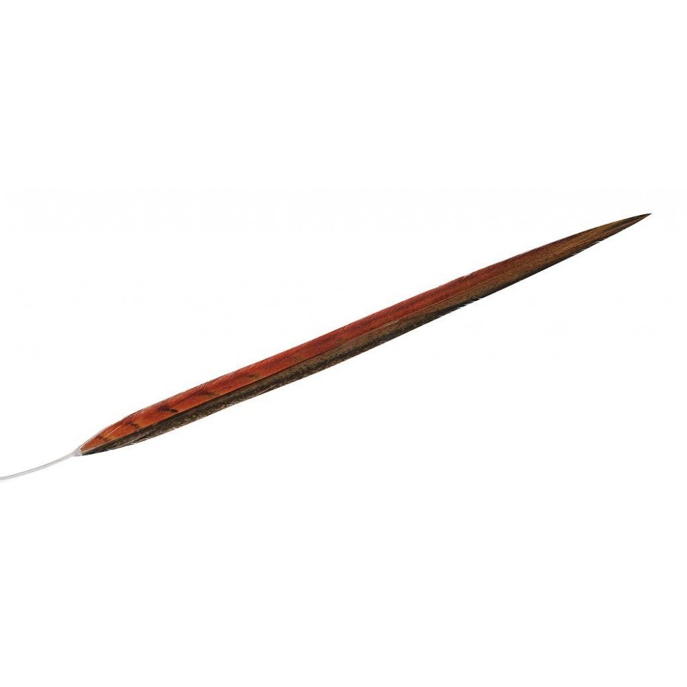 Espiel ΦΤΕΡΟ ΠΟΡΤΟΚΑΛΙ 55ΕΚ