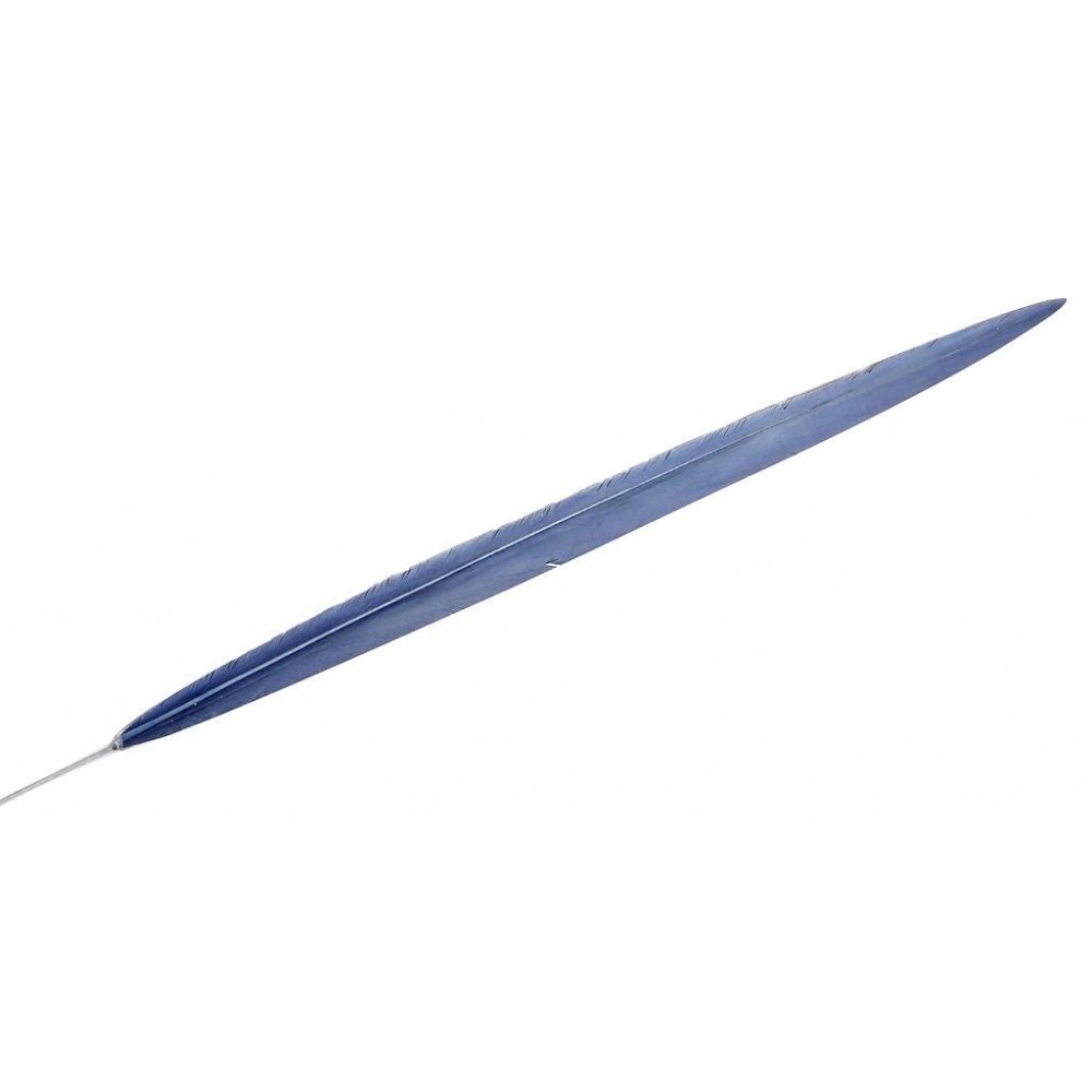 Espiel ΦΤΕΡΟ ΜΠΛΕ 70ΕΚ