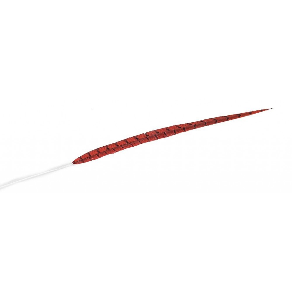 Espiel ΦΤΕΡΟ ΚΟΚΚΙΝΟ 80ΕΚ