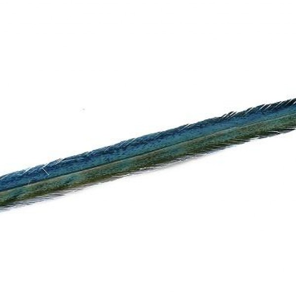 Espiel ΦΤΕΡΟ ΠΡΑΣΙΝΟ ΜΠΛΕ 90ΕΚ