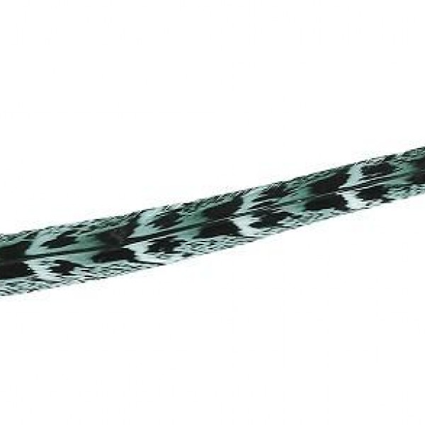 Espiel ΦΤΕΡΟ ΠΡΑΣΙΝΟ 55ΕΚ