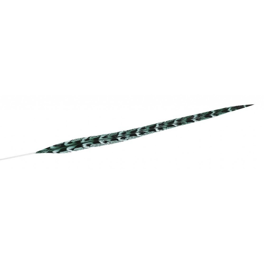 Espiel ΦΤΕΡΟ ΠΡΑΣΙΝΟ 90ΕΚ