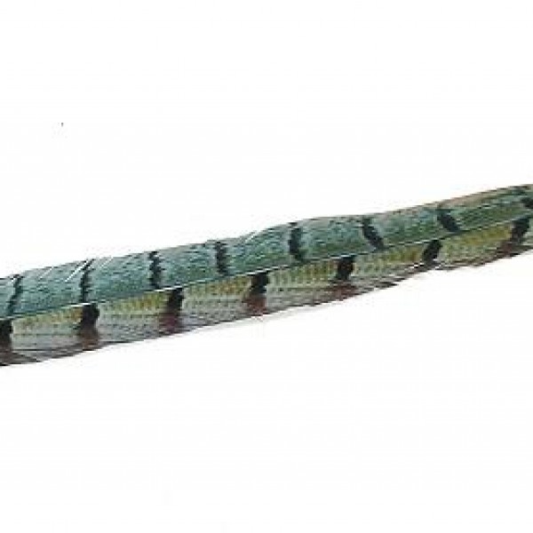 Espiel ΦΤΕΡΟ ΠΡΑΣΙΝΟ 80ΕΚ