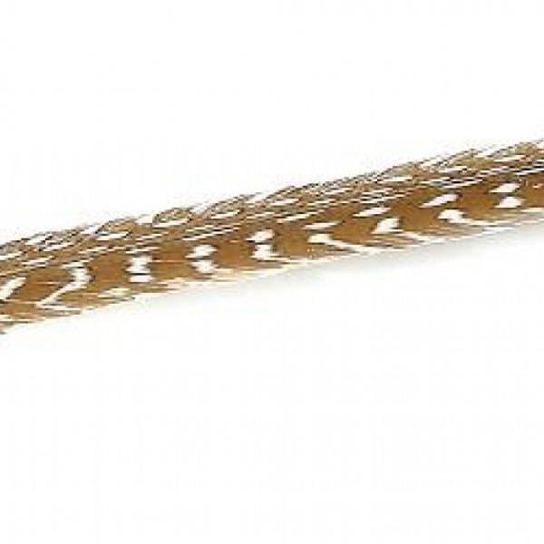 Espiel ΦΤΕΡΟ ΚΑΦΕ 55ΕΚ