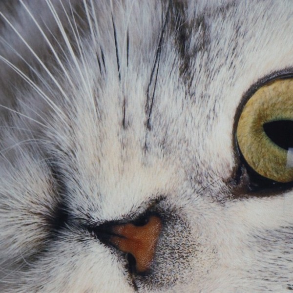 Espiel RUNNER ΓΚΡΙ ''ΓΑΤΑ'' 40χ180ΕΚ.