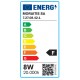 InLight E27 LED Filament G95 8watt με μελί κάλυμμα (7.27.08.42.1)