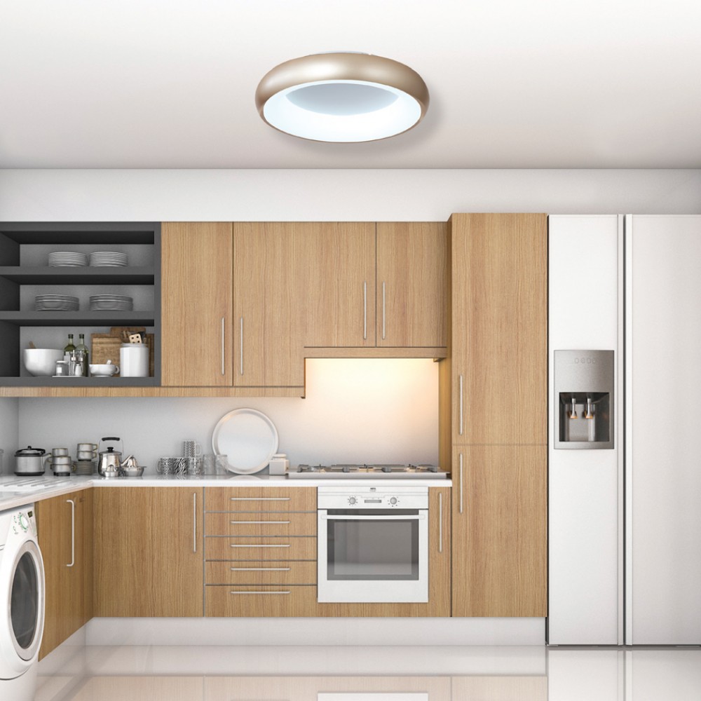 InLight Πλαφονιέρα οροφής LED 36W 3CCT (by tuya) από μαύρο και λευκό ακρυλικό D:60W (42020-A-Black)