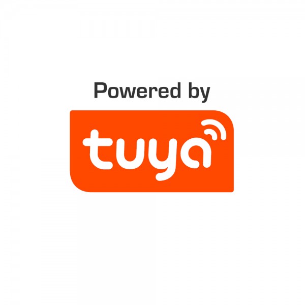 InLight Πλαφονιέρα οροφής LED 54W 3CCT (by tuya) από λευκό και ασημί ακρυλικό D:40cm (42016-B)