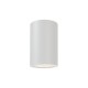 it-Lighting Reindeer 1xGU10 Outdoor Ceiling Down Light White D:14.1cmx9,4cm (80300524)