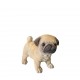 ΦΙΓΟΥΡΑ ΣΚΥΛΟΣ ΚΑΦΕ PUG 13,5Χ7Χ11ΕΚ